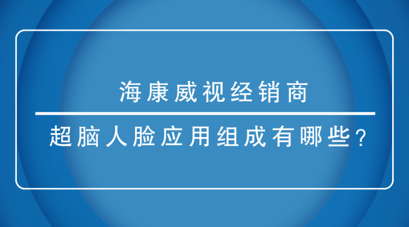 ?？低暯?jīng)銷商