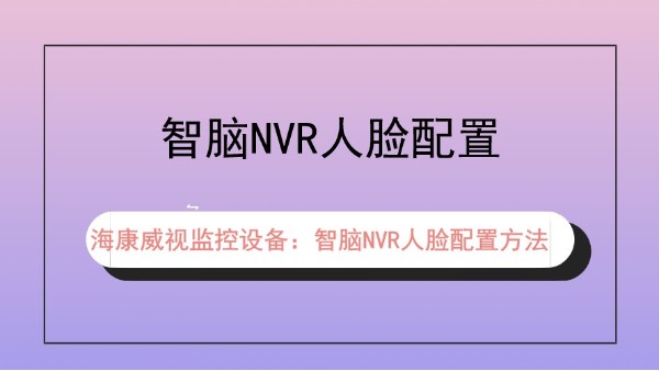 ?？低暠O(jiān)控設(shè)備